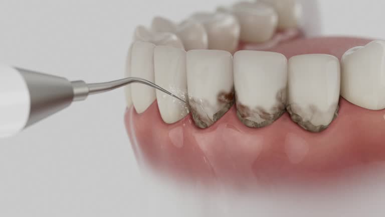 Reliable Emergency Dentist contractor in Stutsman County County, ND by Dentist Open Now